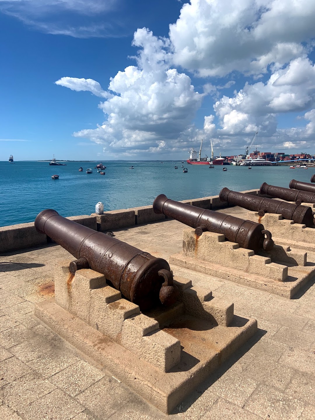 Zanzibar Cannons