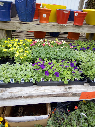 Supermarket «Best Value Supermarket», reviews and photos, 10748 Buckley Hall Rd, Mathews, VA 23109, USA