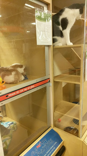 Pet Supply Store «PetSmart», reviews and photos, 156 Old Little Britain Rd, Newburgh, NY 12550, USA