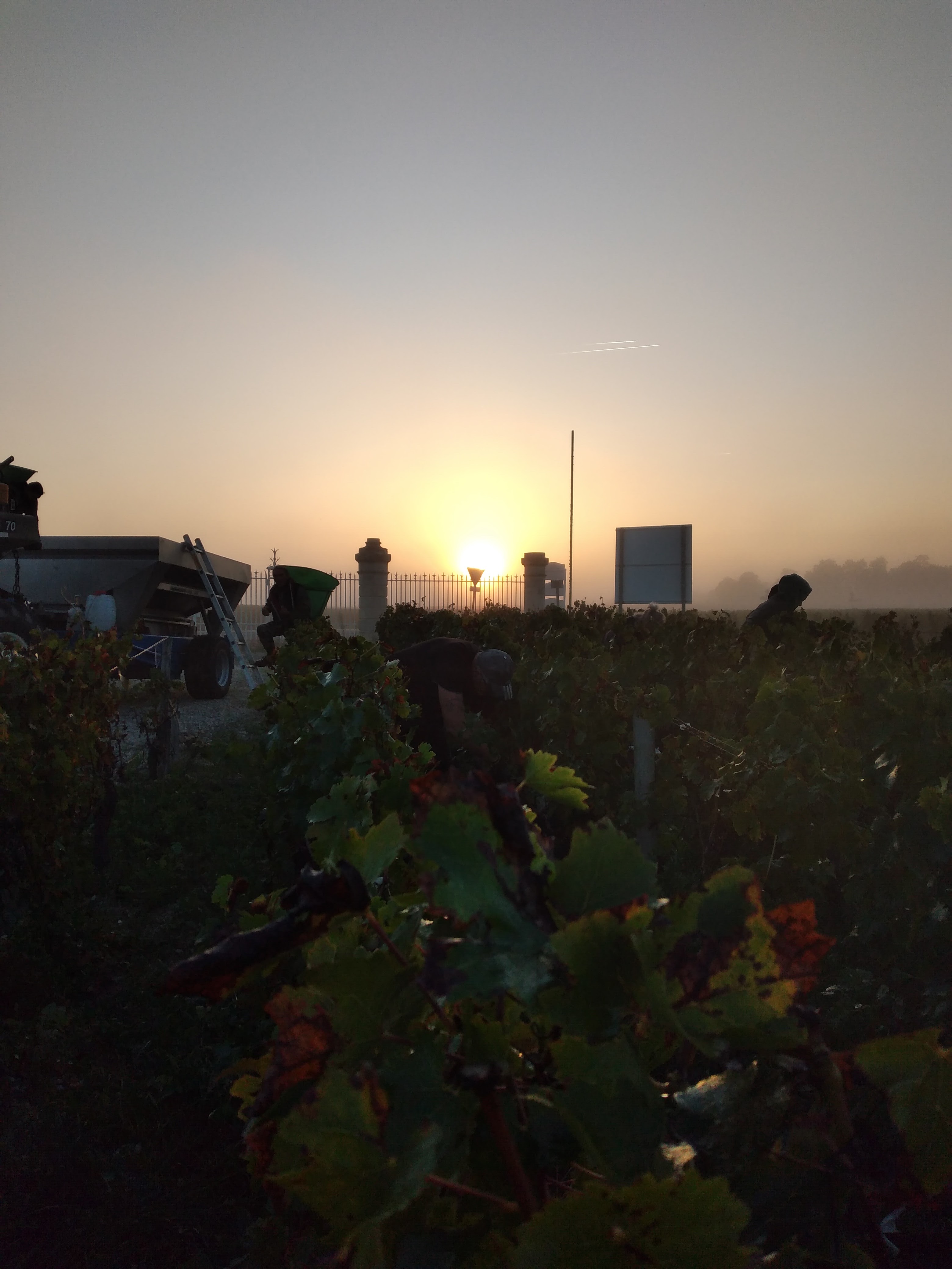 Photo n° 3 de l'avis de Daniel.o fait le 11/10/2023 à 08:52