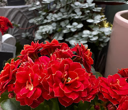 OBI Markt Berlin-Lichtenberg photo