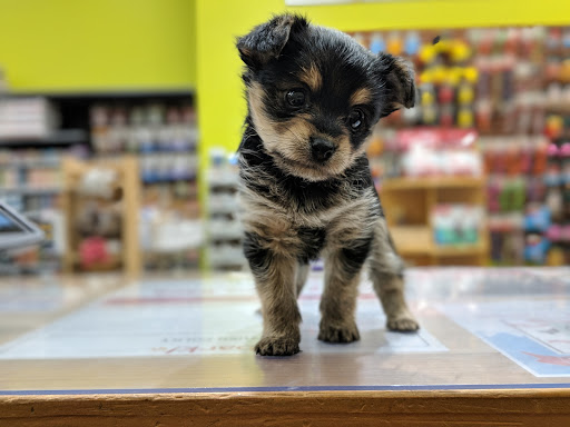 Pet Supply Store «Bark!», reviews and photos, 2101 Somerville Rd, Annapolis, MD 21401, USA