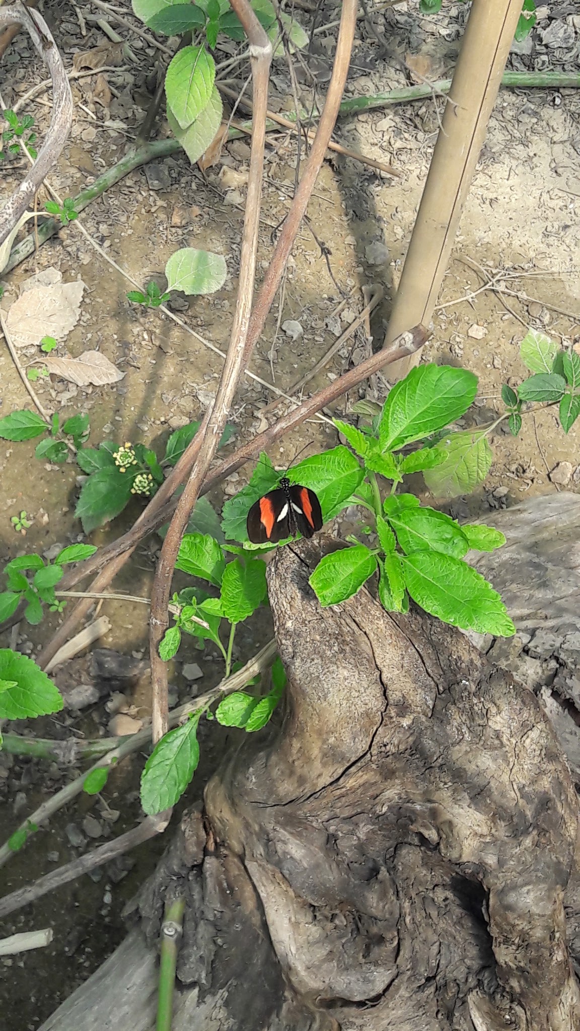 Photo n° 11 de l'avis de jessyca.a fait le 27/04/2018 à 12:12