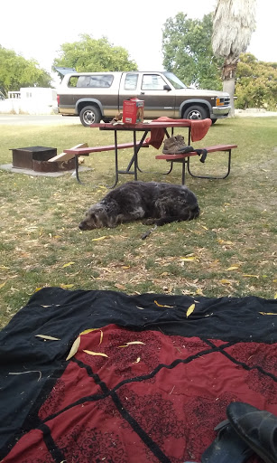 SacWest RV Park & Campground image