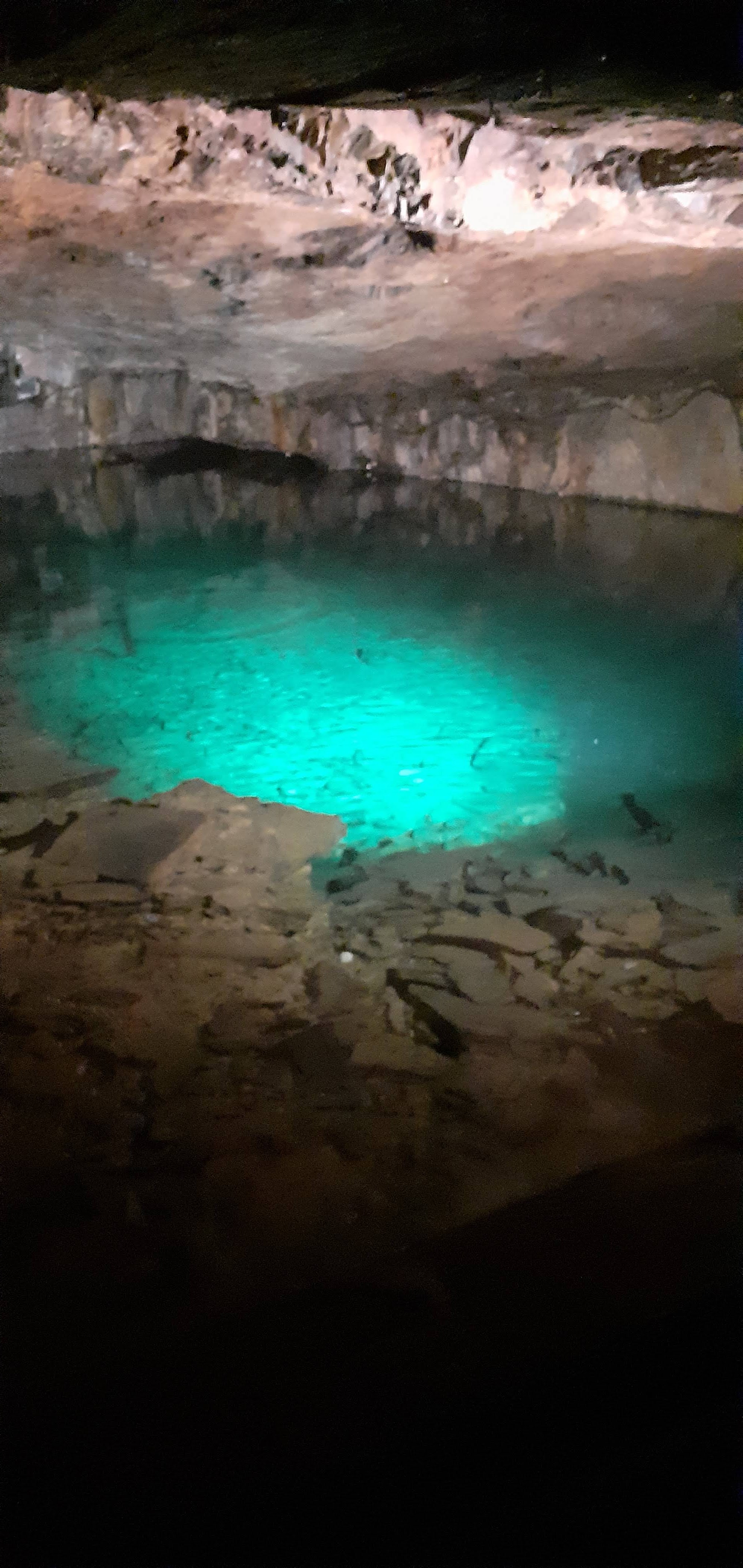 Photo n° 1 de l'avis de Marlene.u fait le 27/04/2022 à 08:59