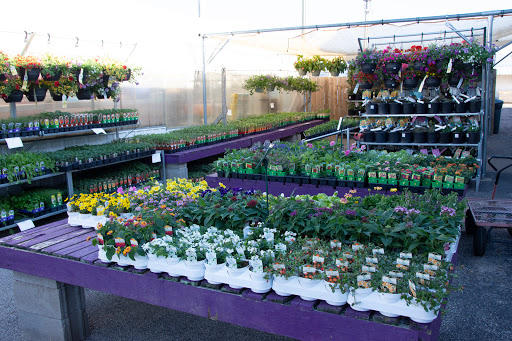 Hardware Store «Scholze Ace Home Center», reviews and photos, 133 County Rd A, Black River Falls, WI 54615, USA