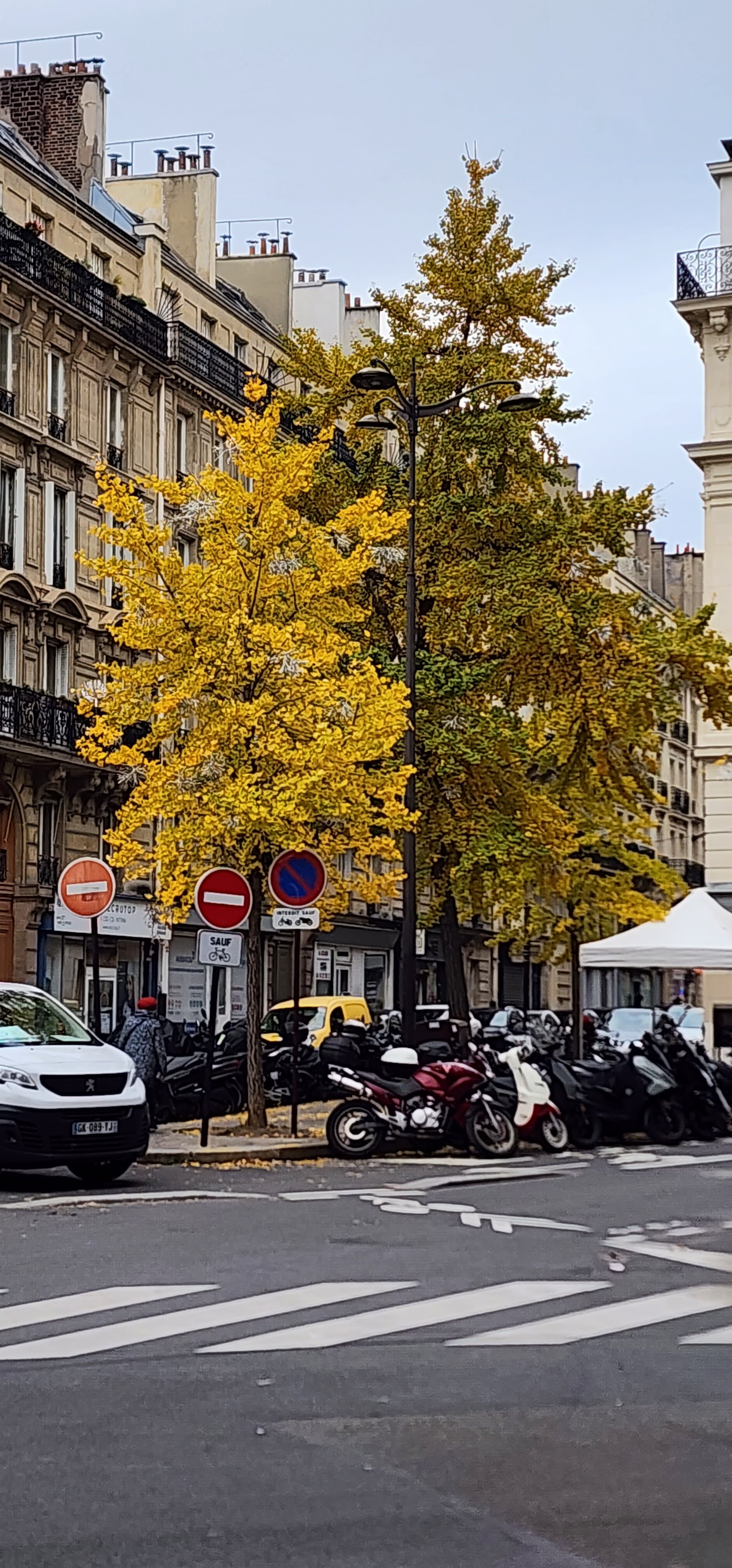 Photo n° 13 de l'avis de Rudy.a fait le 01/12/2023 à 16:14
