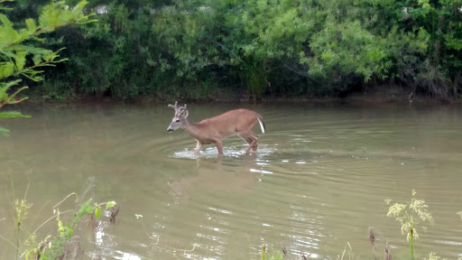 Park «Big Creek Park», reviews and photos, 1600 Old Alabama Rd, Roswell, GA 30076, USA