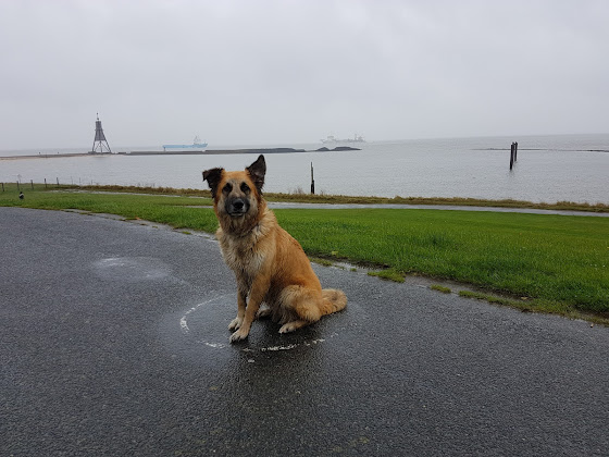 Photo Ferienwohnung Seesicht Duhnen 27476 Cuxhaven