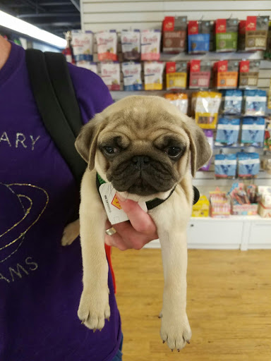 Pet Supply Store «Dogma Bakery», reviews and photos, 2772 S Arlington Mill Dr, Arlington, VA 22206, USA