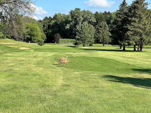 Golf Club «Nine Springs Golf Course», reviews and photos, 2201 Traceway Dr, Fitchburg, WI 53713, USA
