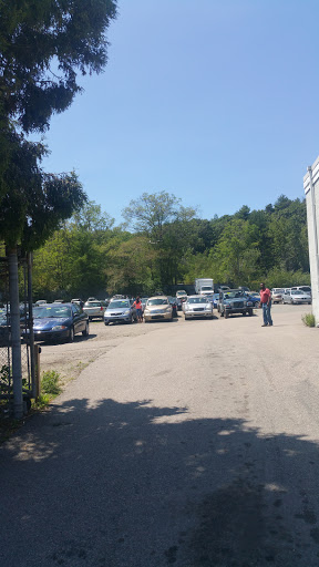 Charity «Helping Hands of America», reviews and photos