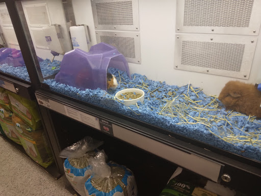 Pet Supply Store «Petco Animal Supplies», reviews and photos, 2000 NE Burnside Rd, Gresham, OR 97030, USA