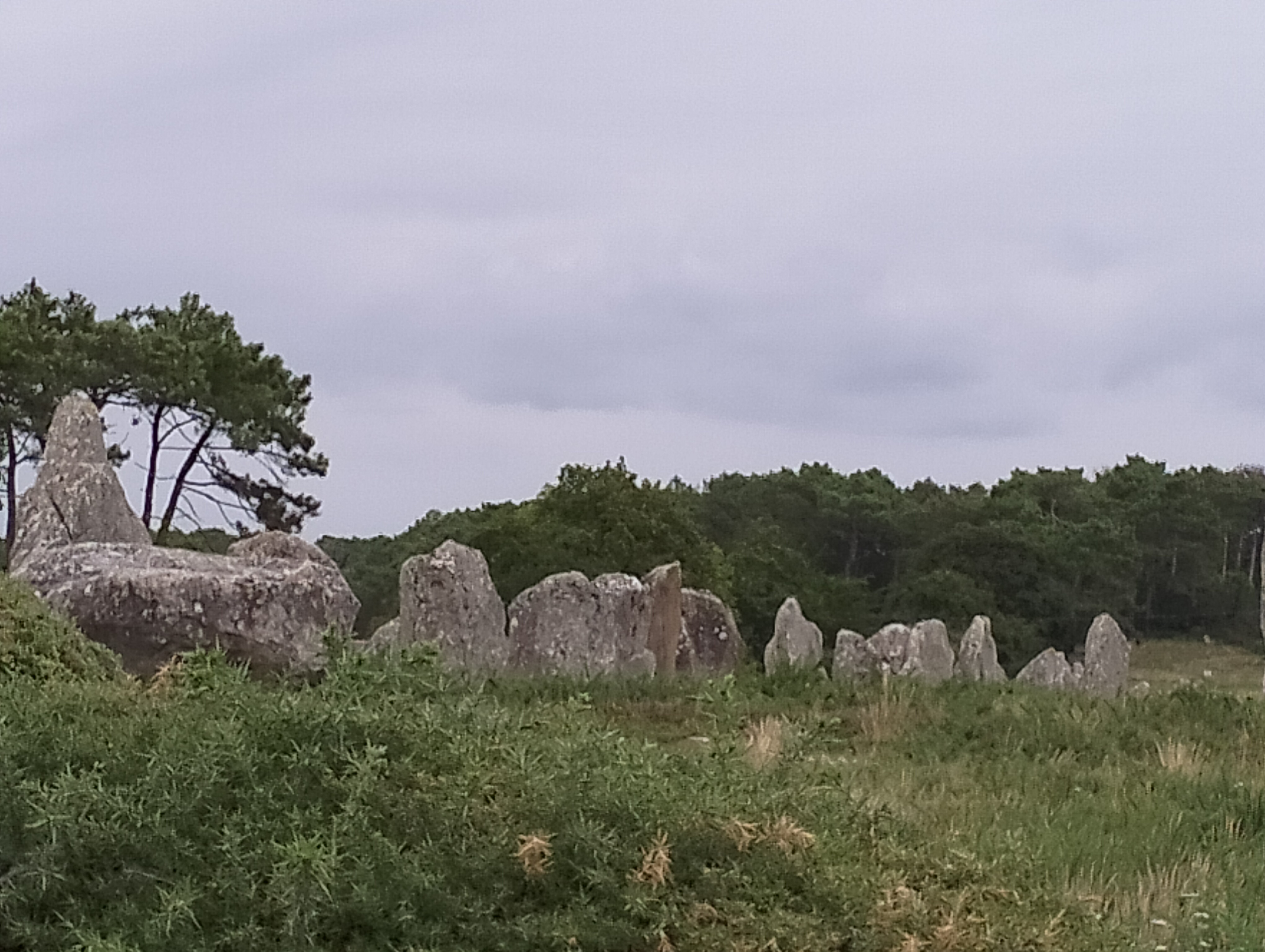 Photo n° 3 de l'avis de Valy. fait le 30/08/2023 à 07:24