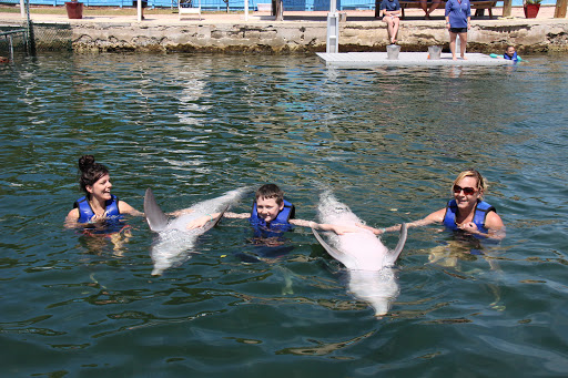 Recreation «Dolphins Plus Oceanside», reviews and photos, 31 Corinne Pl, Key Largo, FL 33037, USA