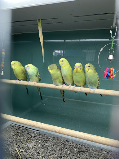 Pet Supply Store «Pet Supplies Plus», reviews and photos, 2160 Anderson Rd, Petoskey, MI 49770, USA