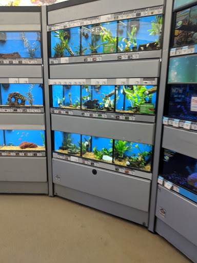 Pet Supply Store «Petco Animal Supplies», reviews and photos, 21851 Towne Center Dr, Watertown, NY 13601, USA