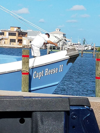 Gift Shop «Sea Shell Shoppe», reviews and photos, 120 N Austin St, Rockport, TX 78382, USA