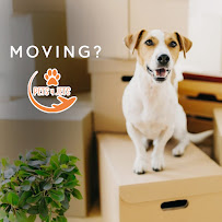 Pets 4 Jets LLC - Photo 5 - Car repair in Las Vegas, NV, Spring Valley