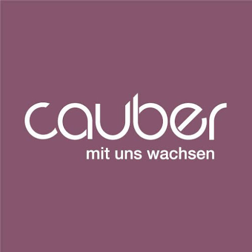 Cauber Buchhaltungen - Basel