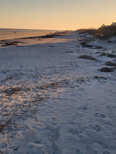 Spa Resort «Hilton Head Marriott Resort & Spa», reviews and photos