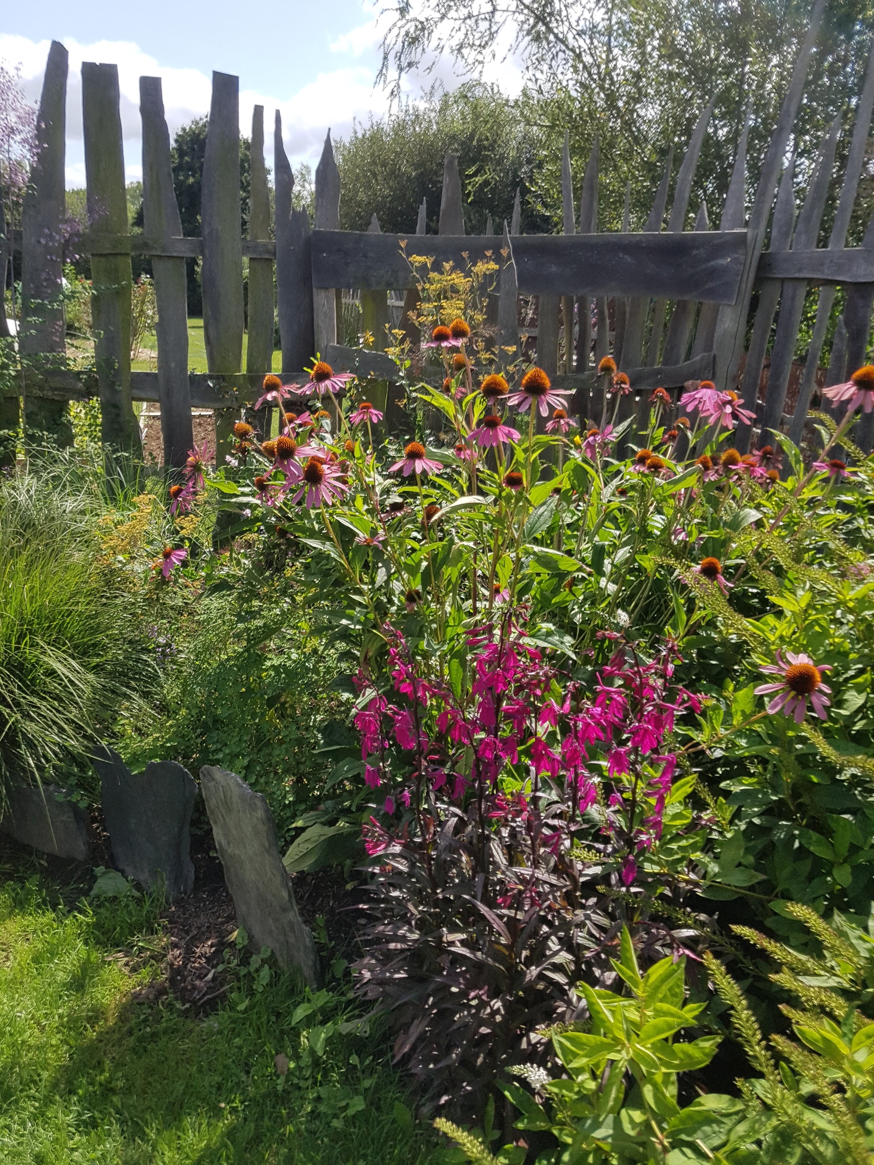 Photo n° 3 de l'avis de Miguel.l fait le 18/08/2019 à 15:20