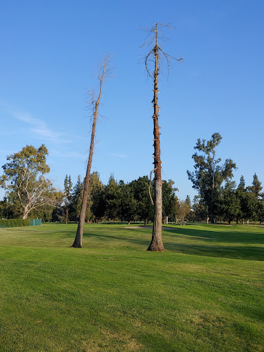 Golf Course «Balboa Golf Course», reviews and photos, 16821 Burbank Blvd, Encino, CA 91436, USA
