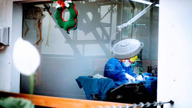 Albiter Veterinary Hospital