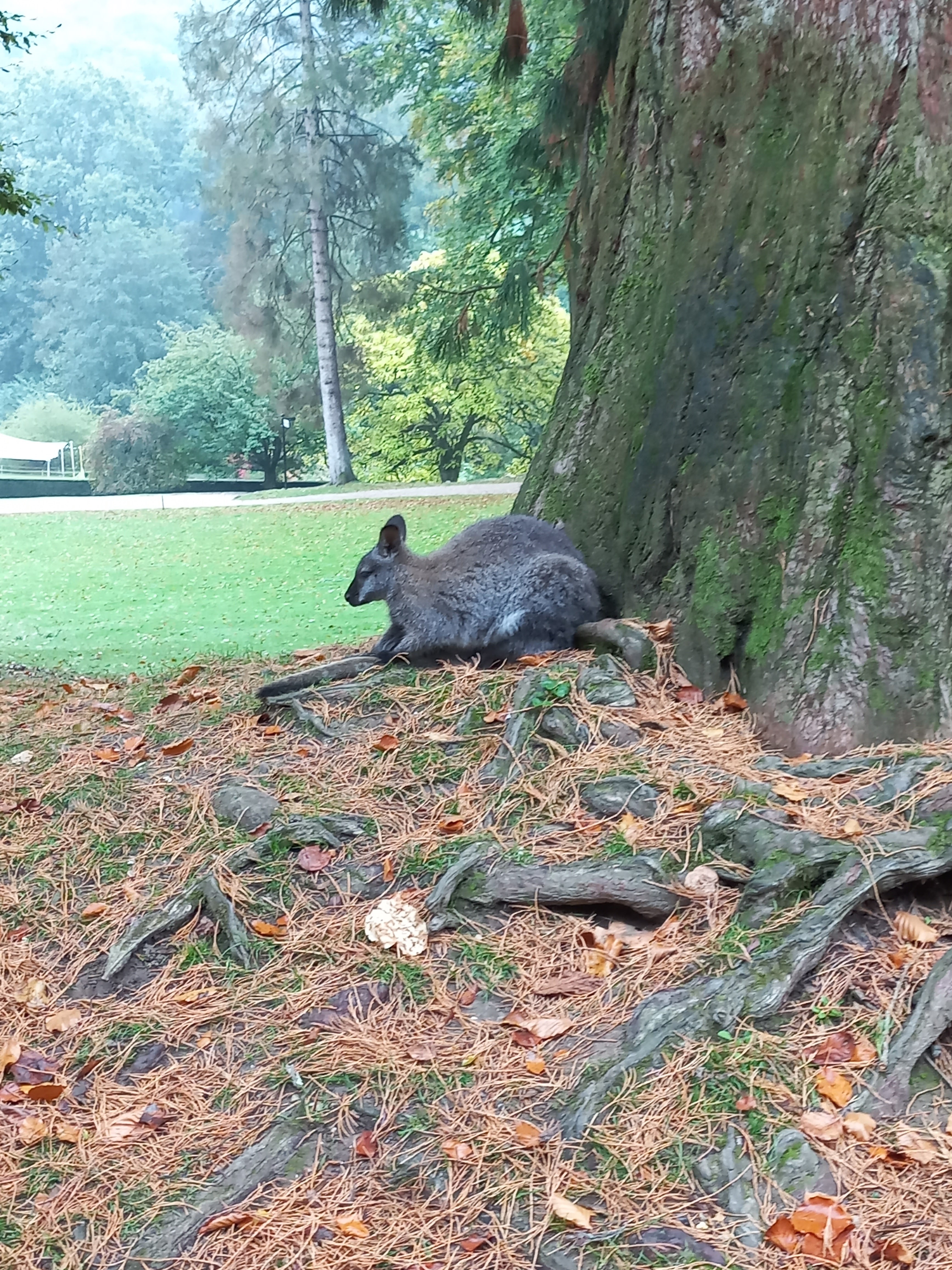Photo n° 2 de l'avis de Ôtsuki. fait le 16/10/2022 à 14:47