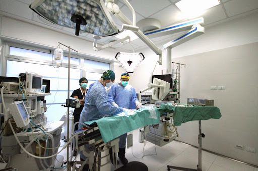 Pensioni per cani e dog hotel a Clinica Veterinaria Pievaroli