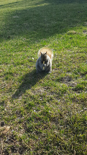 Park «Pioneer Park», reviews and photos, 515 2nd St N, Stillwater, MN 55082, USA