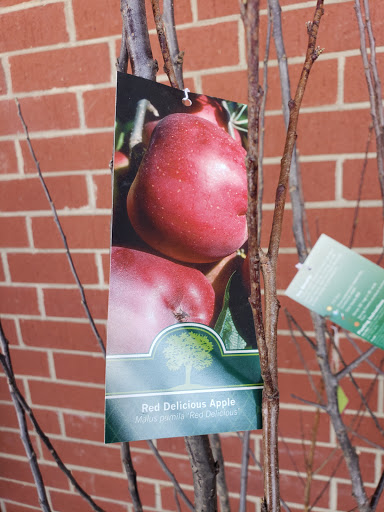 Grocery Store «Food Lion», reviews and photos, 5426 Six Forks Rd, Raleigh, NC 27609, USA