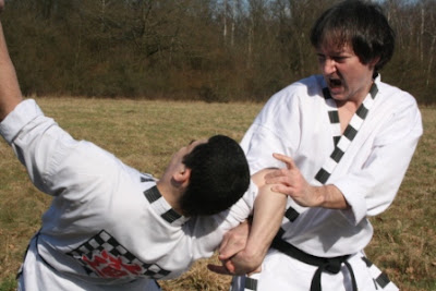 Taekwondo-Hapkido Club de Torcy à Torcy