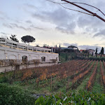 Photo n°10 de l'avis de Loredana.c fait le 05/01/2024 à 18:00 sur le  Poggio le Volpi Enoteca Wine & Food à Monte Porzio Catone