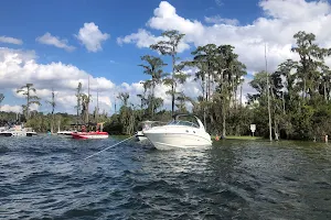 Bird Island image