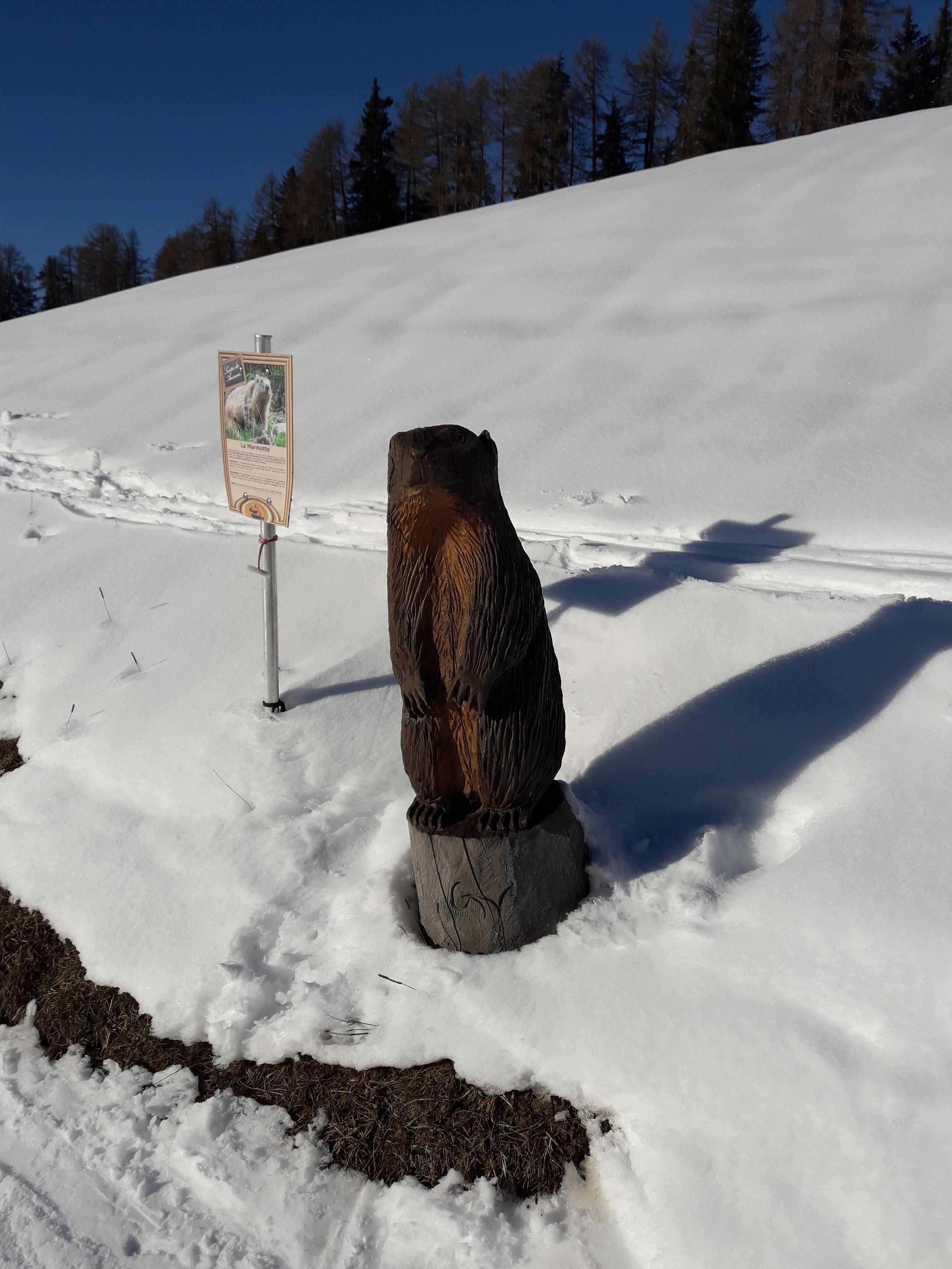 Photo n° 6 de l'avis de STANISLAV.A fait le 31/12/2019 à 07:32