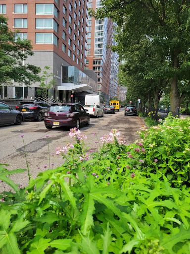 Museum «The Skyscraper Museum», reviews and photos, 39 Battery Pl, New York, NY 10280, USA