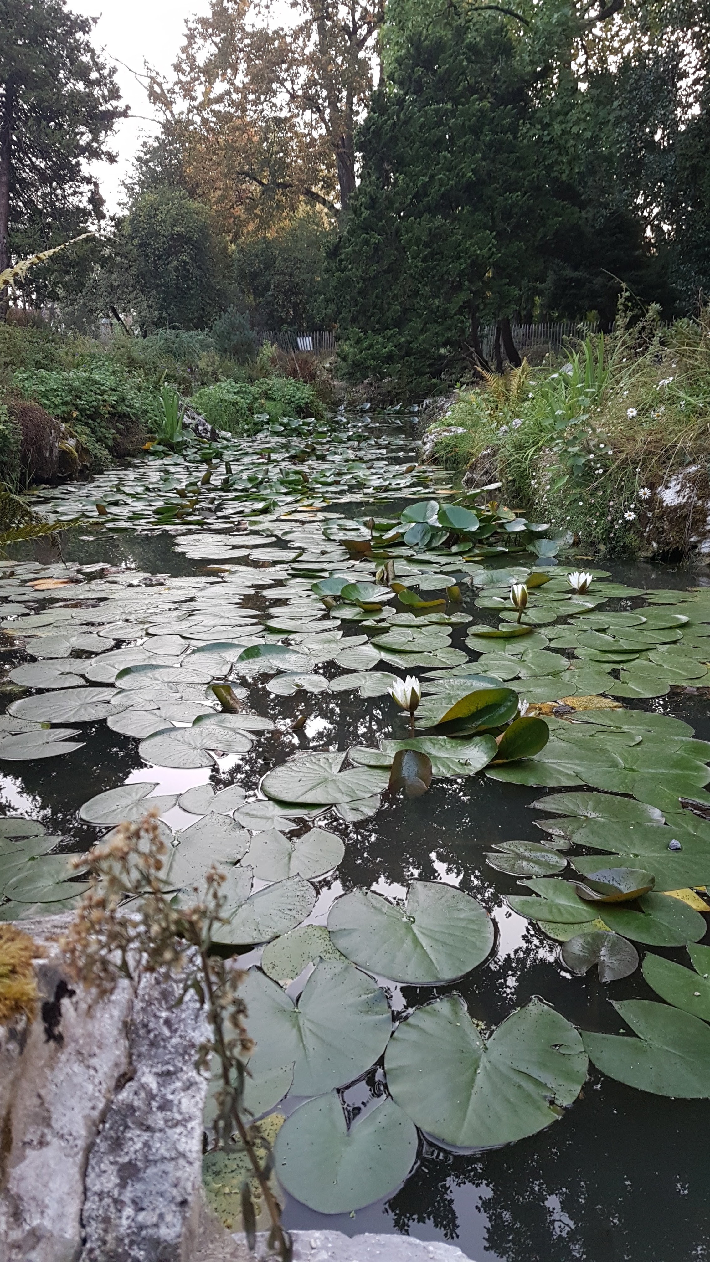 Photo n° 1 de l'avis de Séverine.o fait le 01/10/2019 à 06:38