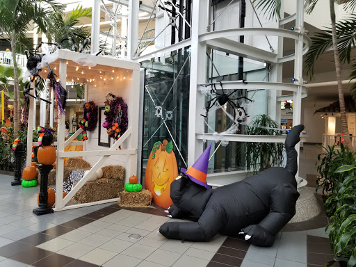 Movie Theater «Cinemark Vista Ridge Mall and XD», reviews and photos, 2401 Stemmons Fwy, Lewisville, TX 75067, USA