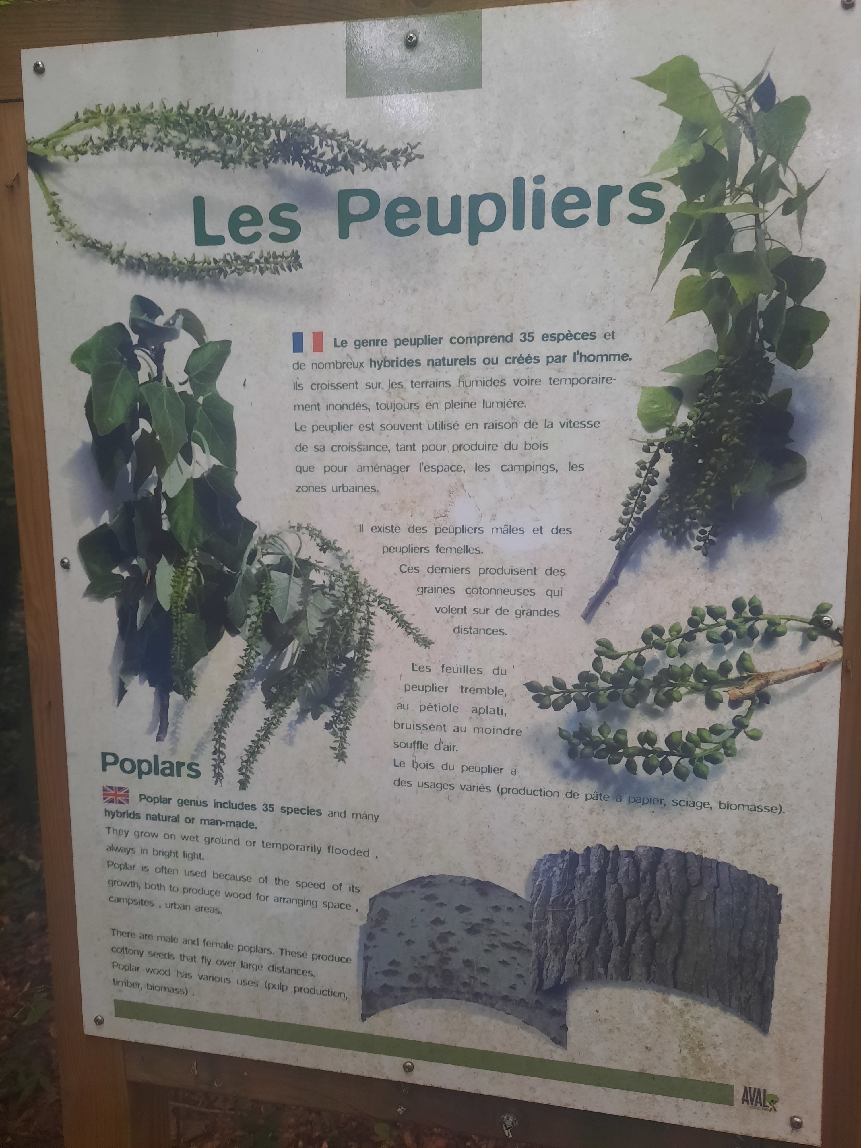 Photo n° 29 de l'avis de DIMA.A fait le 15/08/2021 à 16:23