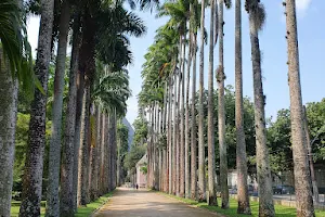 Botanical Garden of Rio de Janeiro image