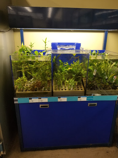 Pet Supply Store «Petco Animal Supplies», reviews and photos, 1412 S Main Chapel Way, Gambrills, MD 21054, USA