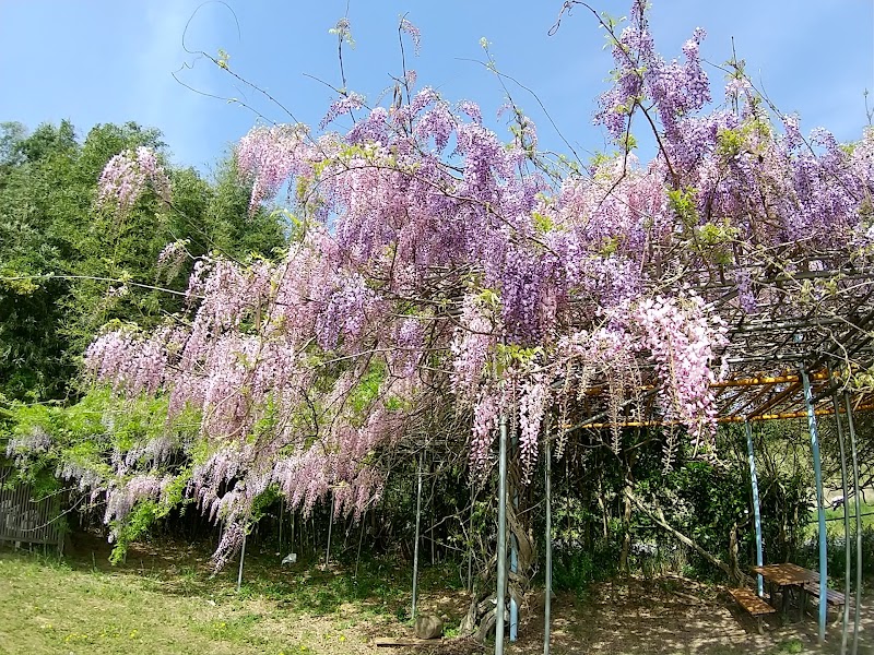 神野ふれあい健康公園