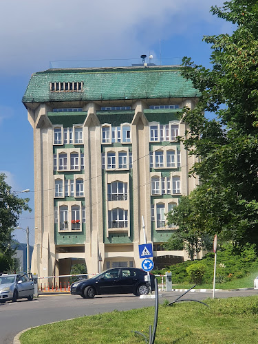 Opinii despre Universitatea Transilvania în <nil> - Grădiniță