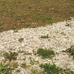 Photo n°1 de l'avis de Gianluca.e fait le 06/05/2019 à 12:00 sur le  Al Cacciatore à Pavia di Udine