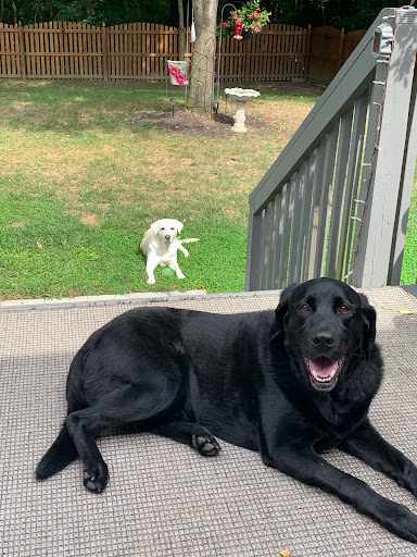 10222 Staples Mill Rd, Glen Allen, VA 23060, USA