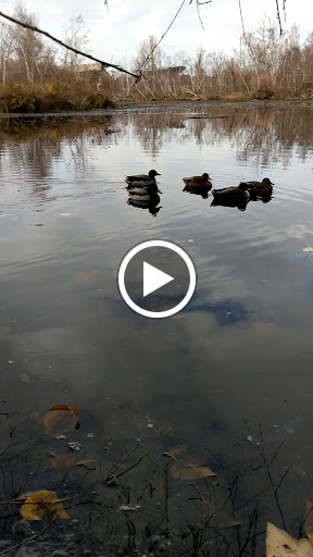 Botanical Garden «Washington Park Arboretum - UW Botanic Gardens», reviews and photos, 2300 Arboretum Dr E, Seattle, WA 98112, USA