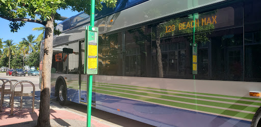 Pet Supply Store «Petco Animal Supplies», reviews and photos, 1121 5th St, Miami Beach, FL 33139, USA