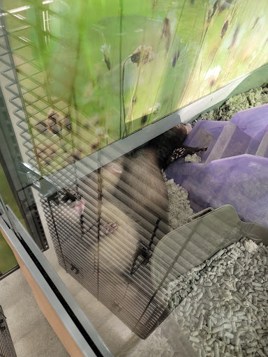 Pet Supply Store «Petco Animal Supplies», reviews and photos, 1011 University Blvd #100, Suffolk, VA 23435, USA