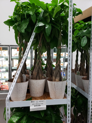 Warehouse club «BJ’s Wholesale Club», reviews and photos, 4000 Nesconset Hwy, Setauket- East Setauket, NY 11733, USA